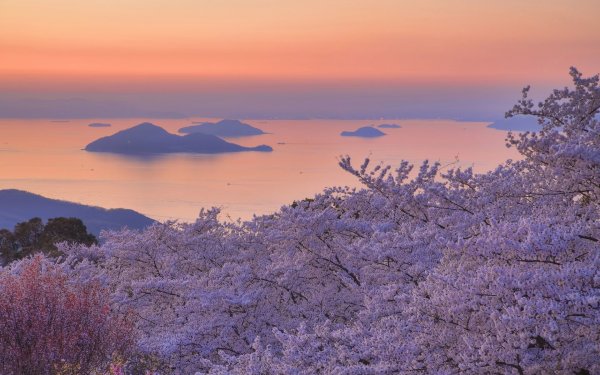 Тхэджондэ Пусан