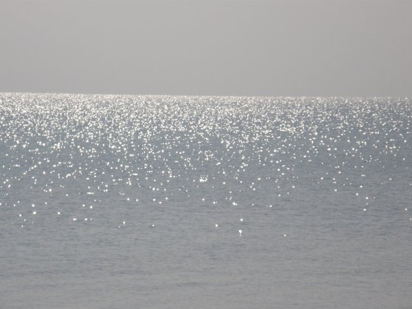 Серебристое море