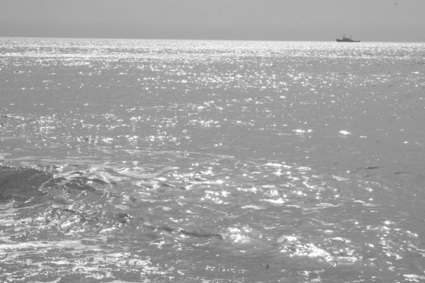 Серебро морей