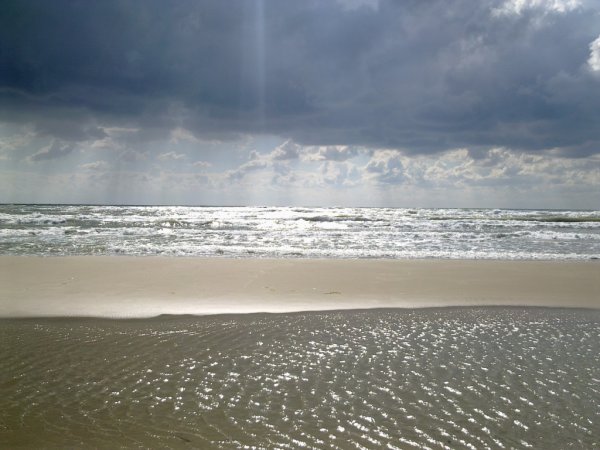 Серебро морей