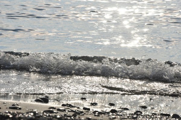 Серебристое море