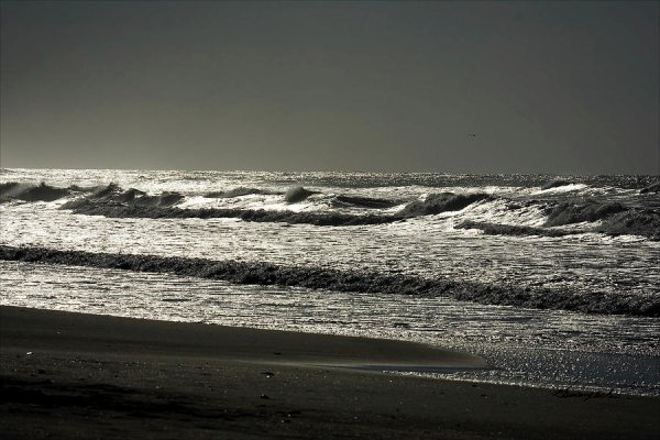 Серебряное море фото