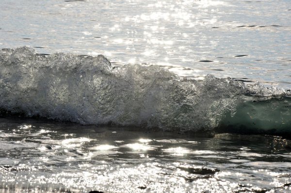 Серебристое море