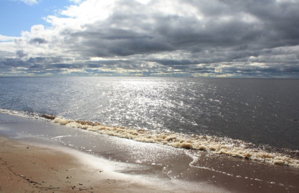 Красивая картинка море серебряное