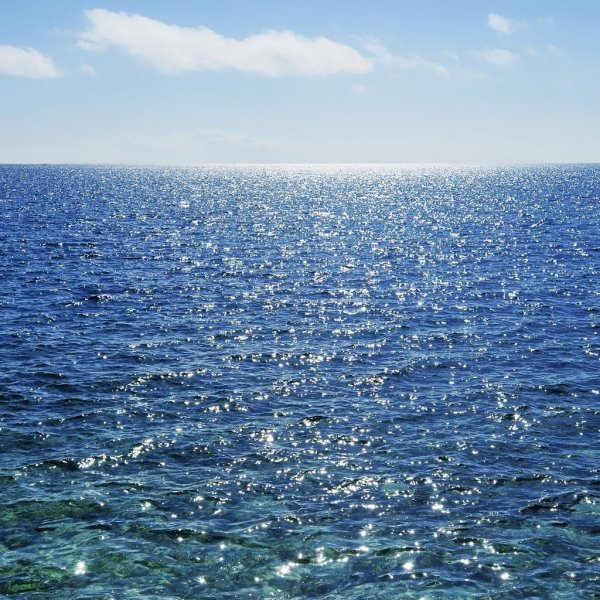 Открытый океан