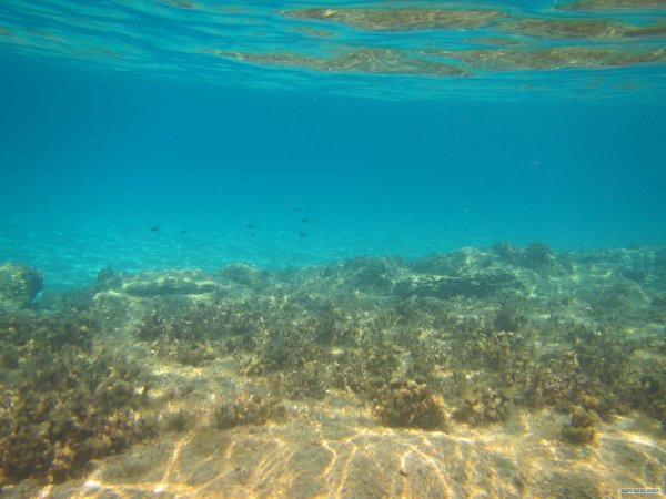 Дно Эгейского моря