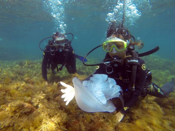 Дайвинг в Крыму Тарханкут