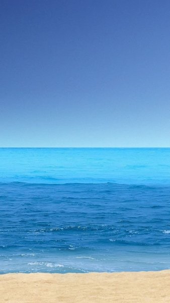 Пальмы и океан