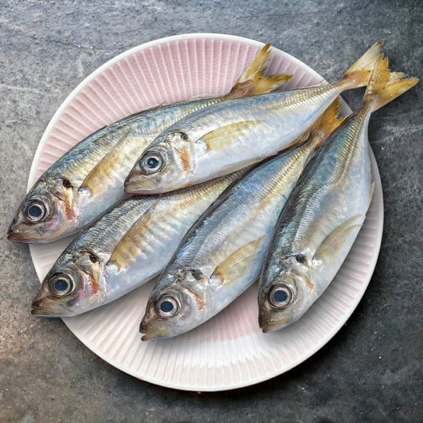 Черноморская скорпена-ёрш