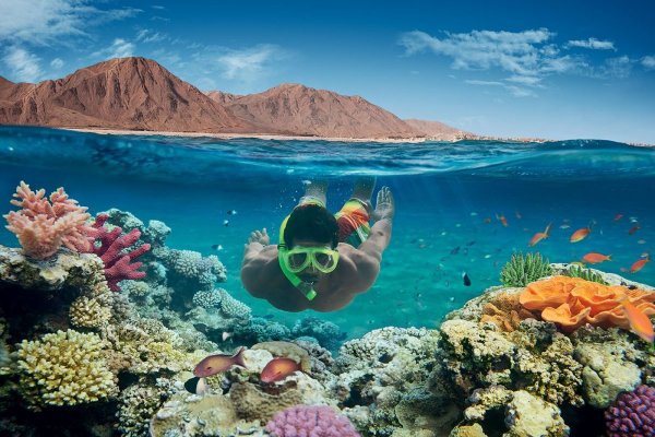 Красное море Хургада
