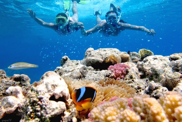 Дахаб Египет снорклинг