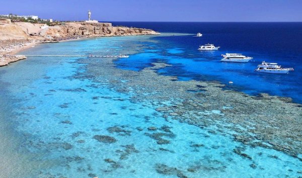 Красное море Египет Шарм-Эль-Шейх