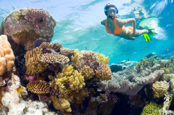 Египет Хургада море