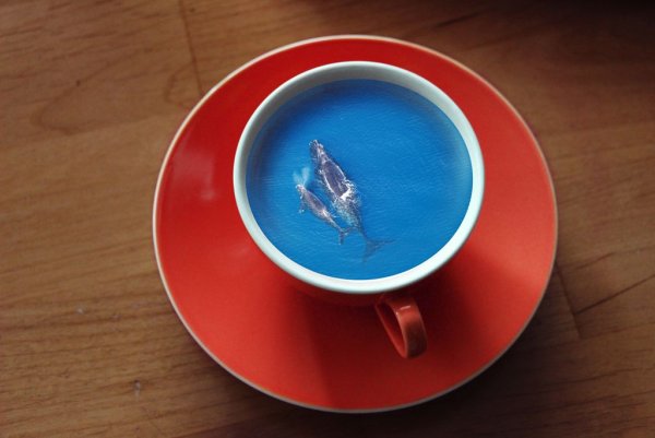 Море в кружке