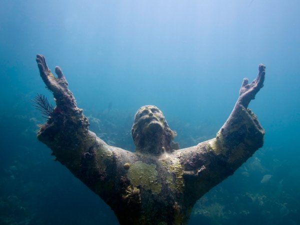 Страшное дно океана