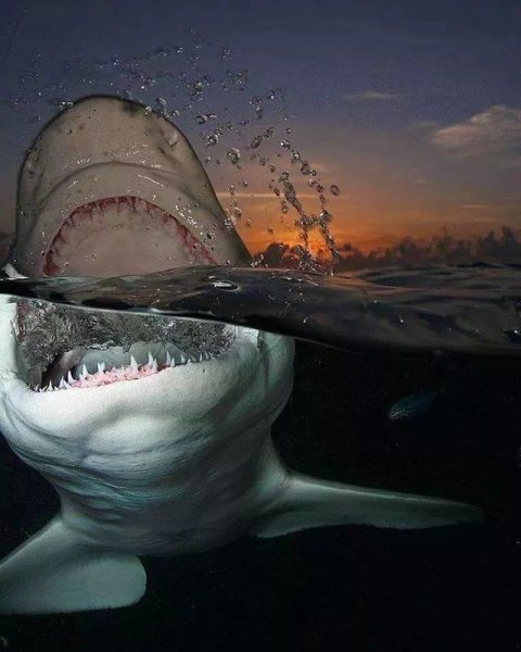 Подводный музей Джейсона де Кайрес Тейлора