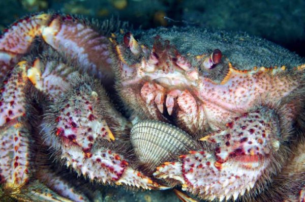 Подводный парк в Канкуне