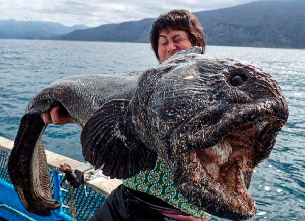 Затонувшие корабли