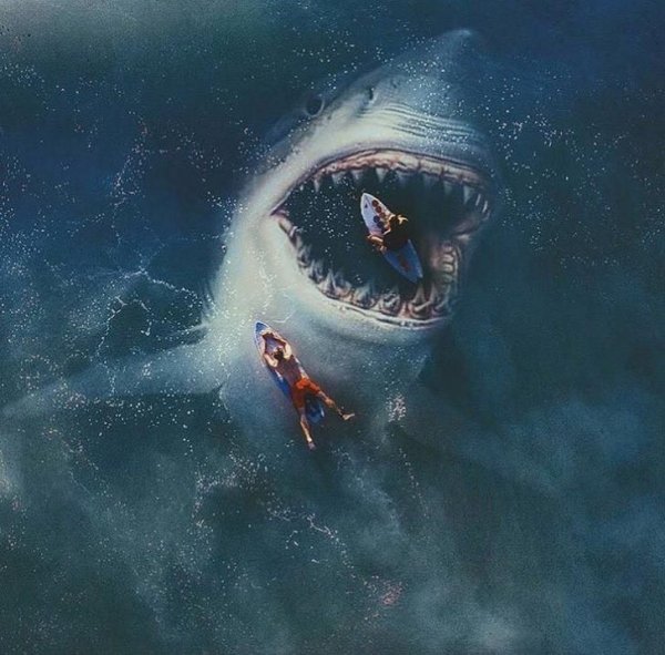 Морские чудовища МЕГАЛОДОН