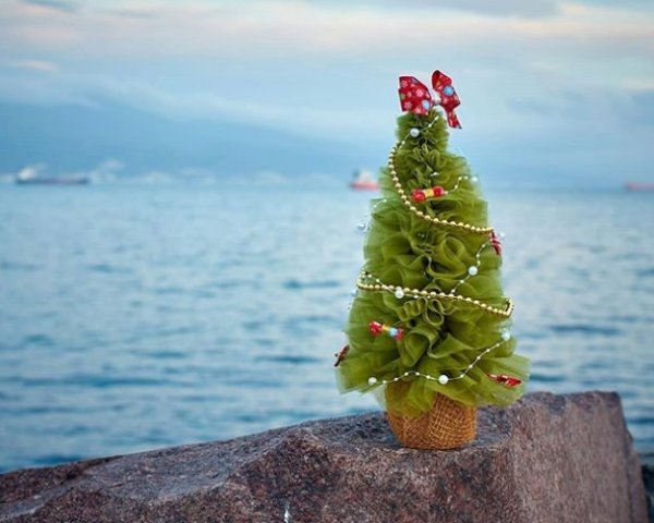 Новый год в тропиках