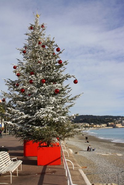 Новый год летом