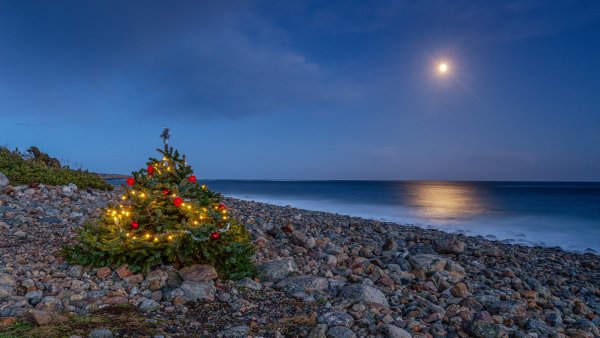 Елка из песка