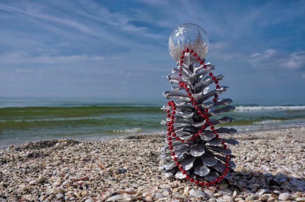 Ракушки на песке