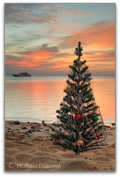 Новый год на море