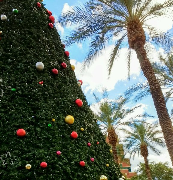 Новый год в Австралии традиции и обычаи