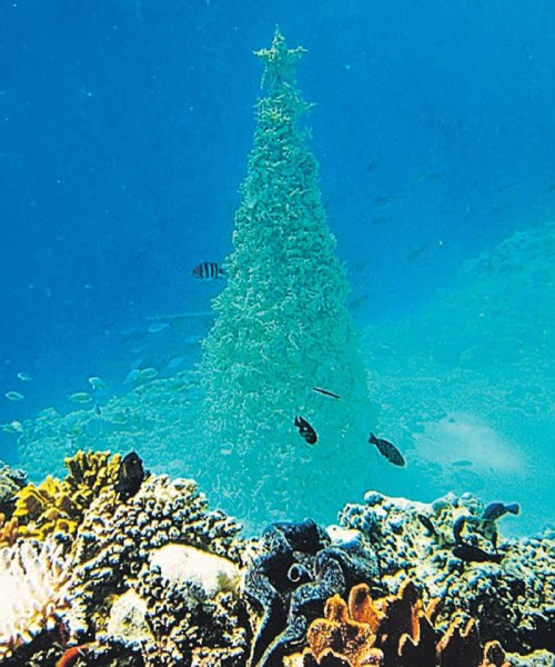 Новый год на море