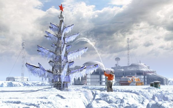 Снежная Пальма Абхазия