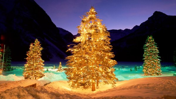 Новогодняя елка на улице