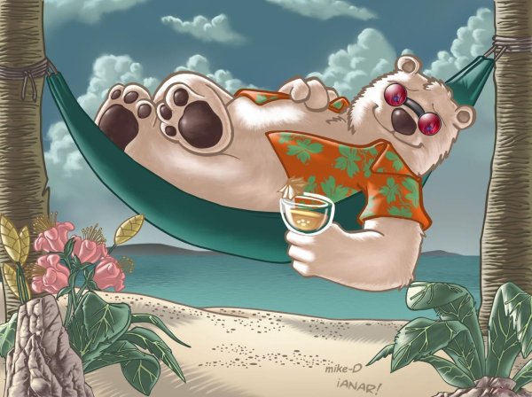 Мишка на море