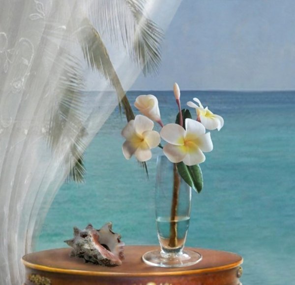 Орхидея и море