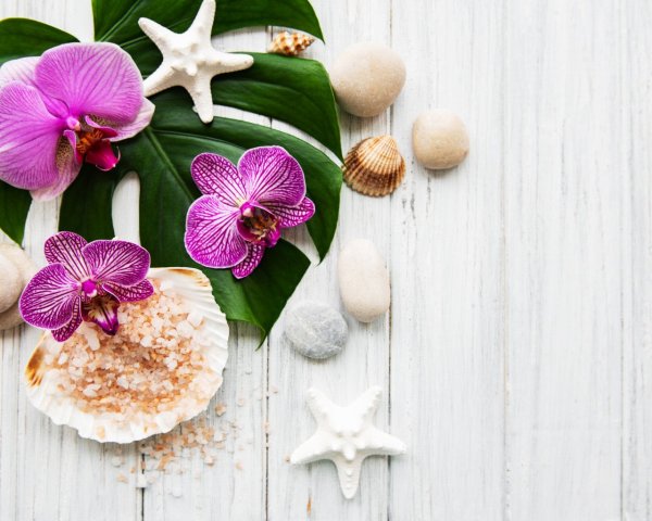 Орхидеи на деревянном фоне