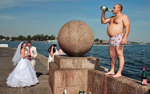 Собака на море