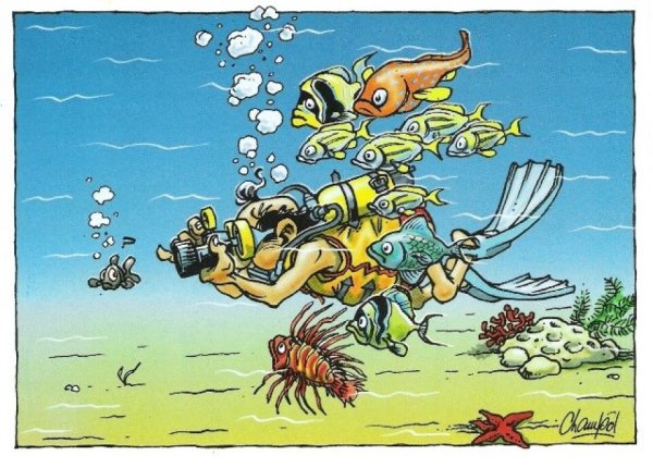 Черное море пляж