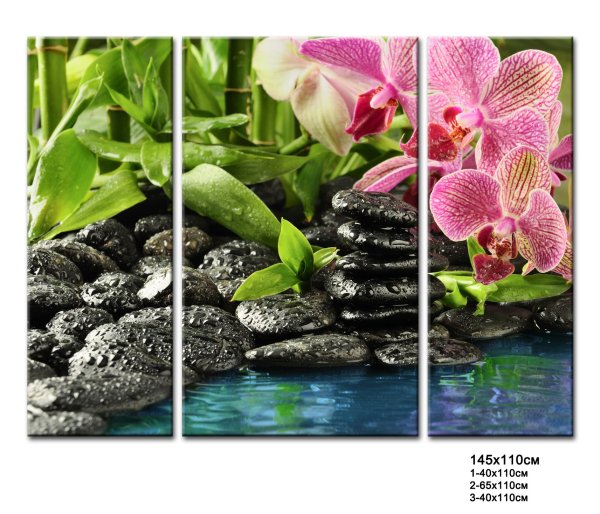 Орхидея в воде