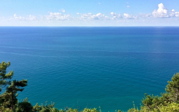 Пейзаж Сочи море