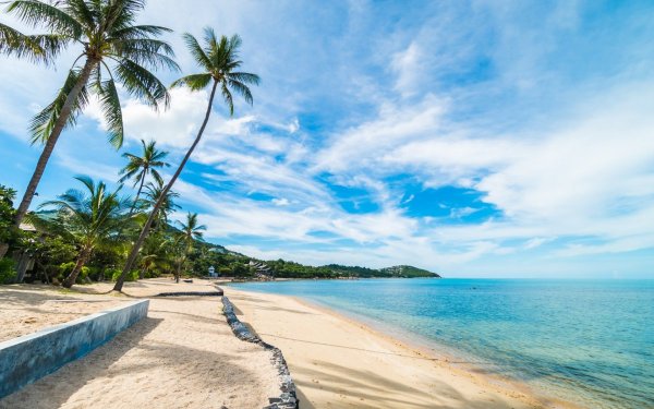 Адлер море горы