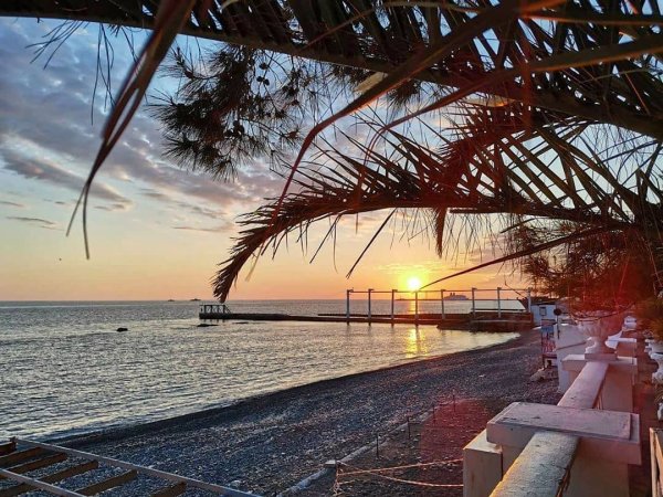 Черное море Пальма Сочи