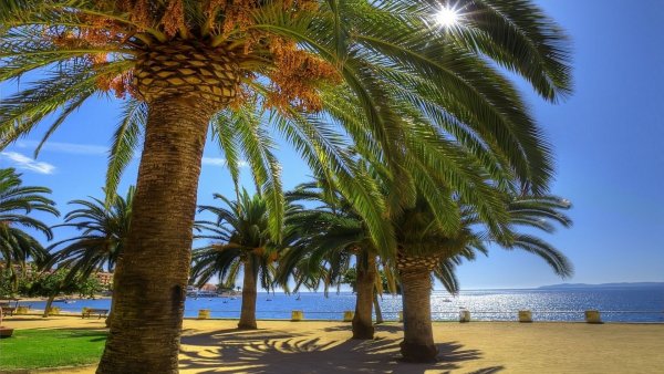 Каменистый пляж в Анапе