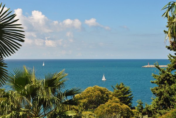 Адлер море мандарин