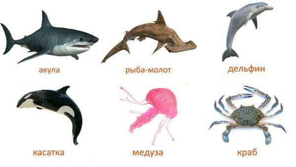Морская рыба названия