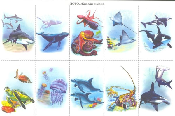 Жизнь в морях и океанах