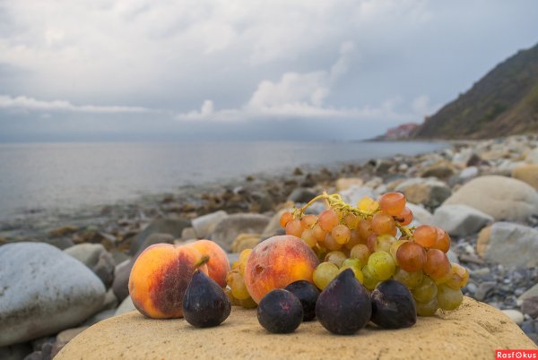 Фрукты черного моря