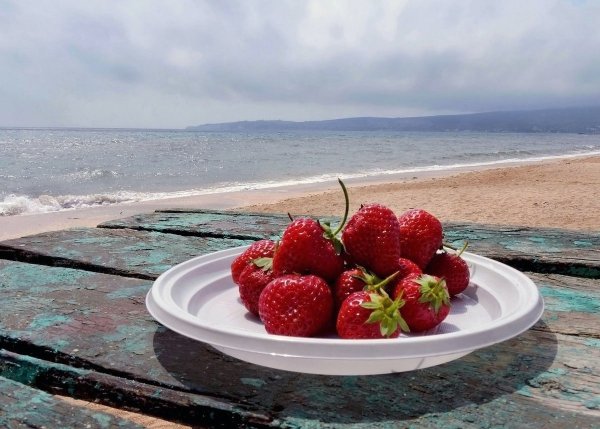 Клубника и море