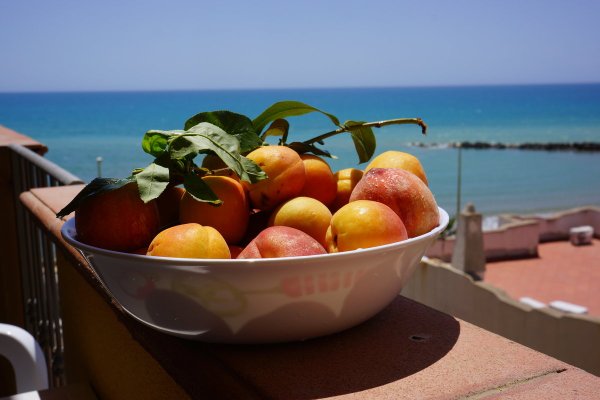 Средиземноморские фрукты