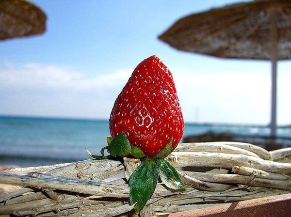 Клубника на пляже