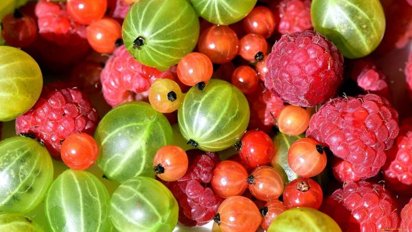 Малина смородина крыжовник